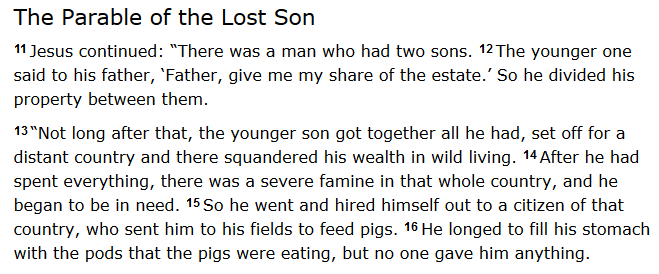 Lost Son